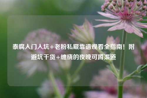 泰腐入门入坑+老粉私藏靠谱观看全指南！附避坑干货+缠绕的夜晚可蹲渠道