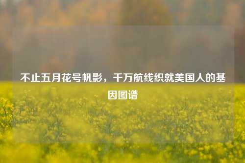 不止五月花号帆影，千万航线织就美国人的基因图谱