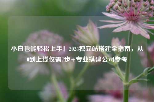 小白也能轻松上手！2024独立站搭建全指南，从0到上线仅需7步+专业搭建公司参考