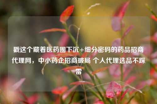 戳这个藏着医药圈下沉+细分密码的药品招商代理网，中小药企招商破局 个人代理选品不踩雷