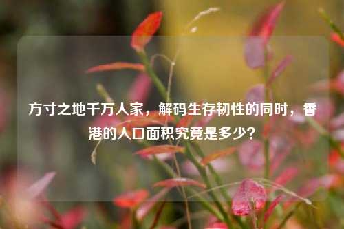 方寸之地千万人家，解码生存韧性的同时，香港的人口面积究竟是多少？