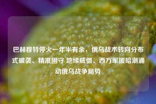 巴赫穆特停火一年半有余，俄乌战术转向分布式破袭、精准固守 地缘威慑、西方军援暗潮涌动俄乌战争局势