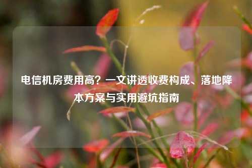 电信机房费用高？一文讲透收费构成、落地降本方案与实用避坑指南