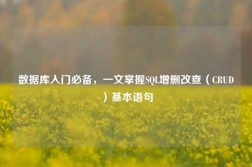 数据库入门必备，一文掌握SQL增删改查（CRUD）基本语句