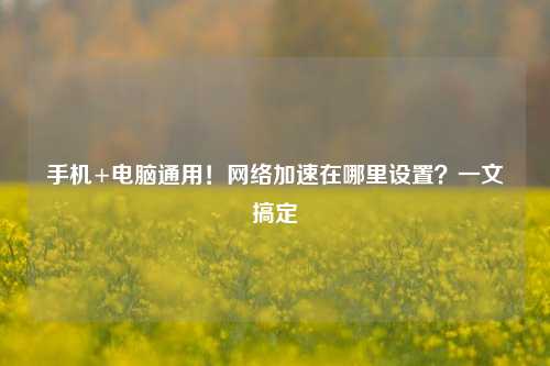 手机+电脑通用！网络加速在哪里设置？一文搞定