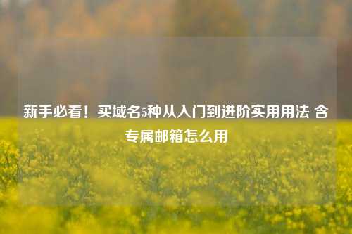 新手必看！买域名5种从入门到进阶实用用法 含专属邮箱怎么用