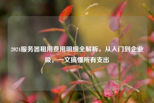 2024服务器租用费用明细全解析，从入门到企业级，一文搞懂所有支出