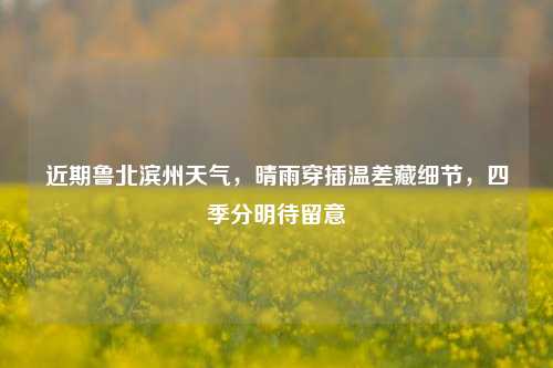 近期鲁北滨州天气，晴雨穿插温差藏细节，四季分明待留意