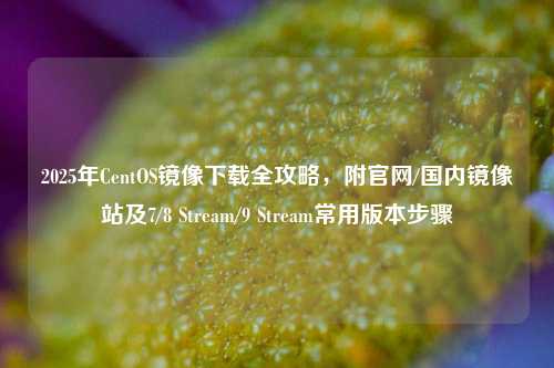 2025年CentOS镜像下载全攻略，附官网/国内镜像站及7/8 Stream/9 Stream常用版本步骤