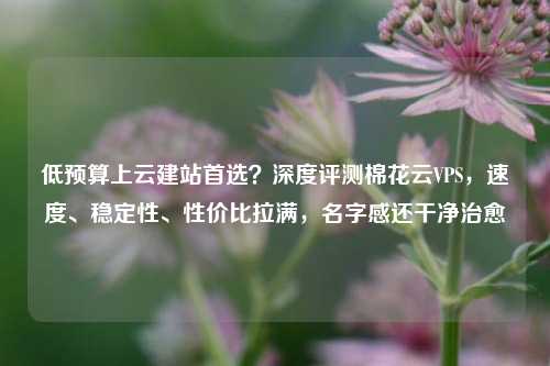 低预算上云建站首选？深度评测棉花云VPS，速度、稳定性、性价比拉满，名字感还干净治愈