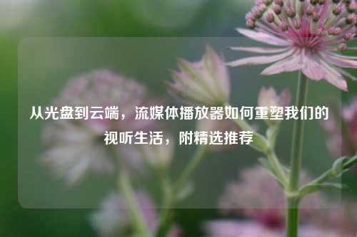 从光盘到云端，流媒体播放器如何重塑我们的视听生活，附精选推荐
