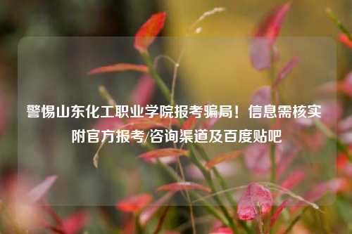 警惕山东化工职业学院报考骗局！信息需核实 附官方报考/咨询渠道及百度贴吧