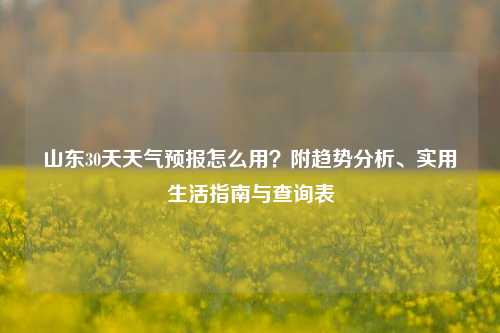 山东30天天气预报怎么用？附趋势分析、实用生活指南与查询表
