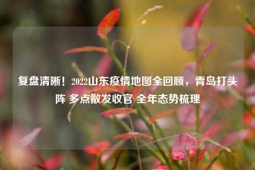 复盘清晰！2022山东疫情地图全回顾，青岛打头阵 多点散发收官 全年态势梳理