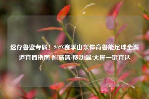 速存鲁蜜专属！202X赛季山东体育鲁能足球全渠道直播指南 附高清/移动端/大屏一键直达