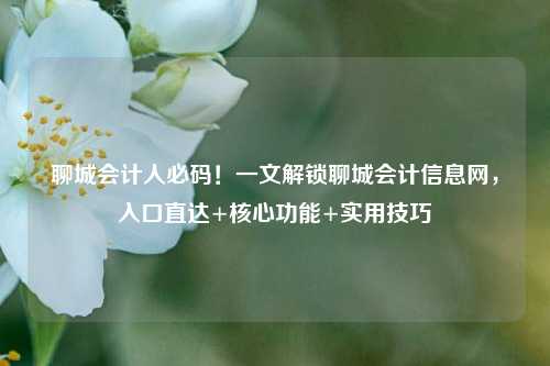 聊城会计人必码！一文解锁聊城会计信息网，入口直达+核心功能+实用技巧