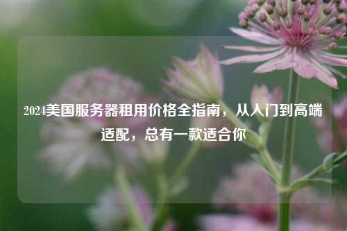 2024美国服务器租用价格全指南,从入门到高端适配,总有一款适合你