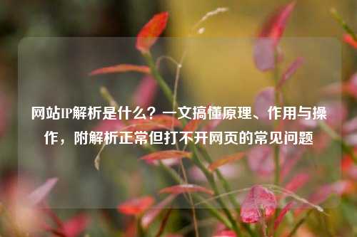 网站IP解析是什么？一文搞懂原理、作用与操作，附解析正常但打不开网页的常见问题