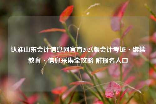 认准山东会计信息网官方202X版会计考证·继续教育·信息采集全攻略 附报名入口
