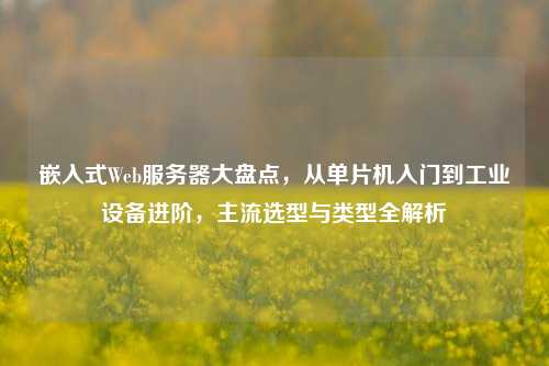 嵌入式Web服务器大盘点，从单片机入门到工业设备进阶，主流选型与类型全解析