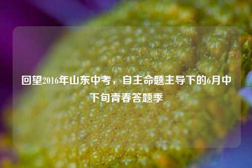 回望2016年山东中考，自主命题主导下的6月中下旬青春答题季