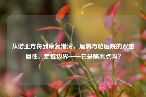 从诺亚方舟到康复港湾，厘清方舱医院的双重属性、定位边界——它是隔离点吗？