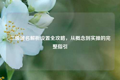二级域名解析设置全攻略，从概念到实操的完整指引
