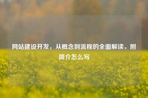 网站建设开发，从概念到流程的全面解读，附简介怎么写