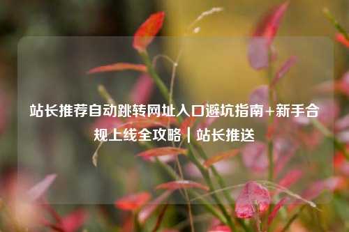 站长推荐自动跳转网址入口避坑指南+新手合规上线全攻略｜站长推送