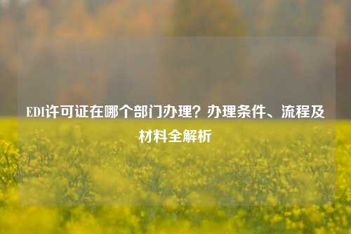 EDI许可证在哪个部门办理？办理条件、流程及材料全解析