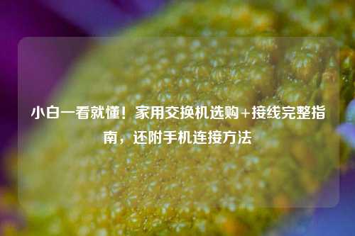 小白一看就懂！家用交换机选购+接线完整指南，还附手机连接方法