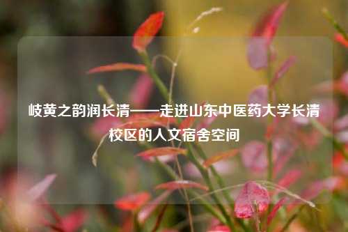 岐黄之韵润长清——走进山东中医药大学长清校区的人文宿舍空间