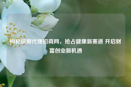 枸杞槟榔代理招商网，抢占健康新赛道 开启财富创业新机遇