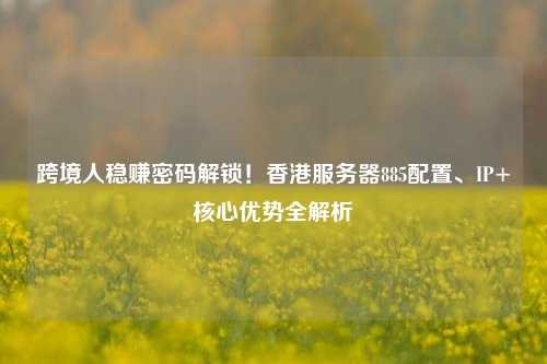 跨境人稳赚密码解锁！香港服务器885配置、IP+核心优势全解析