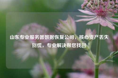 山东专业服务器数据恢复公司，核心资产丢失别慌，专业解决帮您找回
