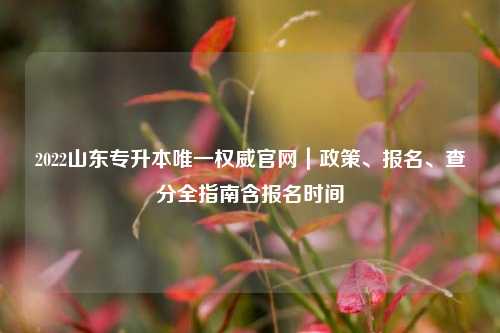 2022山东专升本唯一权威官网｜政策、报名、查分全指南含报名时间