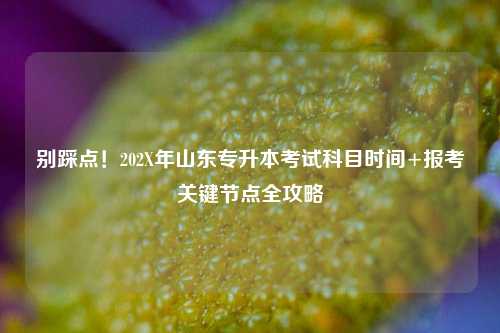 别踩点！202X年山东专升本考试科目时间+报考关键节点全攻略