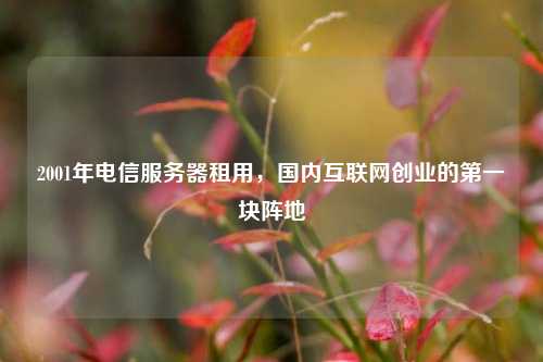2001年电信服务器租用，国内互联网创业的第一块阵地