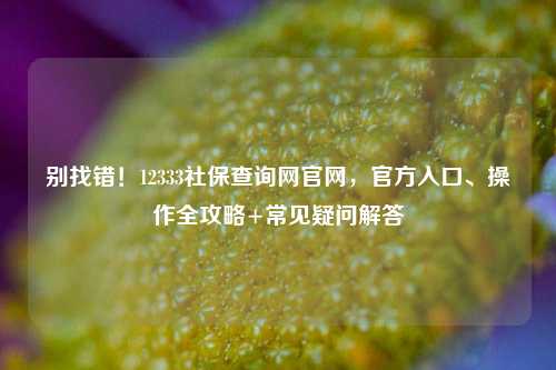 别找错！12333社保查询网官网，官方入口、操作全攻略+常见疑问解答