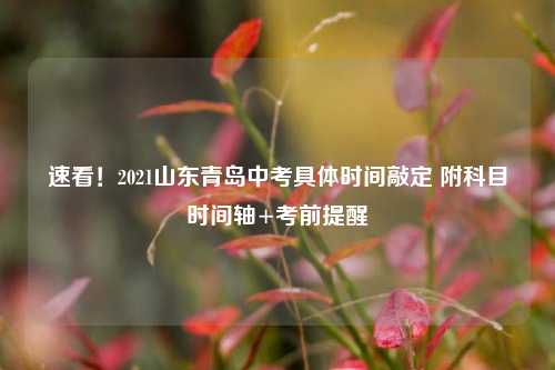 速看！2021山东青岛中考具体时间敲定 附科目时间轴+考前提醒