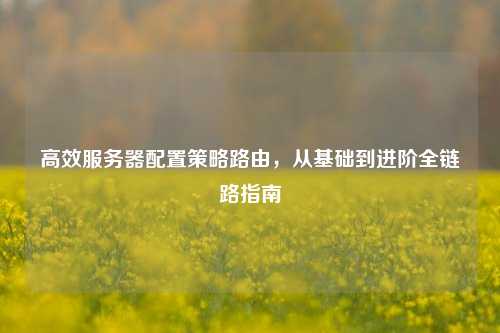 高效服务器配置策略路由，从基础到进阶全链路指南