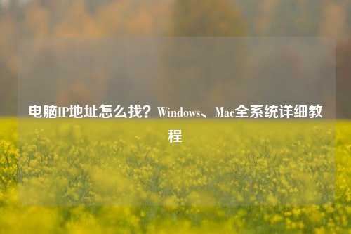 电脑IP地址怎么找？Windows、Mac全系统详细教程