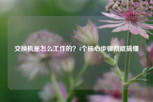 交换机是怎么工作的？4个核心步骤彻底搞懂