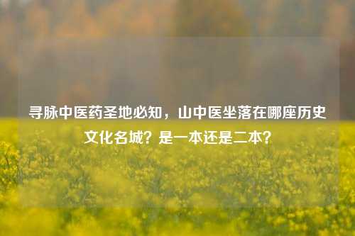寻脉中医药圣地必知，山中医坐落在哪座历史文化名城？是一本还是二本？