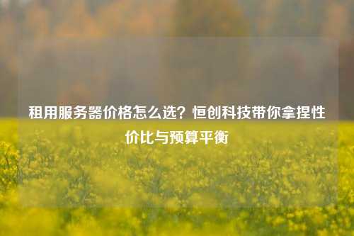租用服务器价格怎么选？恒创科技带你拿捏性价比与预算平衡