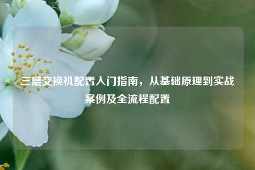 三层交换机配置入门指南，从基础原理到实战案例及全流程配置