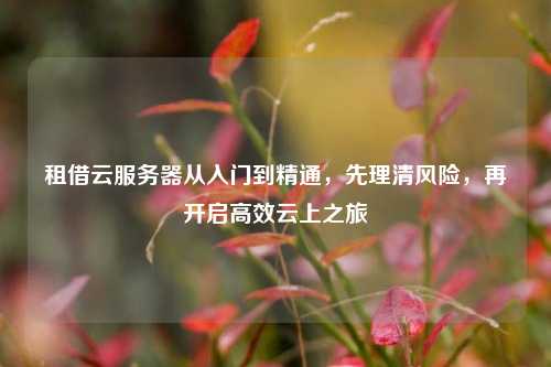 租借云服务器从入门到精通，先理清风险，再开启高效云上之旅