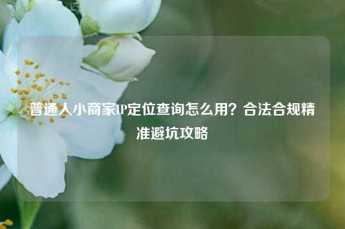 普通人小商家IP定位查询怎么用？合法合规精准避坑攻略