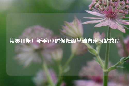 从零开始！新手1小时保姆级基础自建网站教程