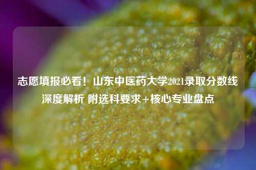 志愿填报必看！山东中医药大学2021录取分数线深度解析 附选科要求+核心专业盘点